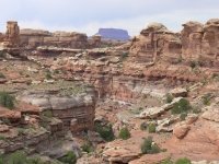 Canyonlands Needles